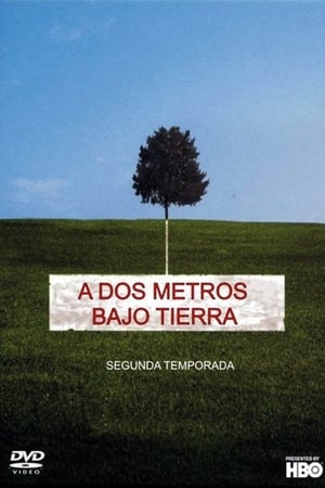 A dos metros bajo tierra Temporada 2 poster