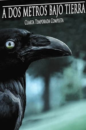 A dos metros bajo tierra Temporada 4 poster