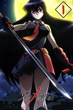 Akame ga Kill! - temporada 1 poster
