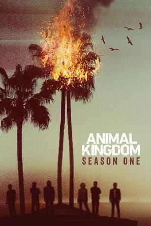 Animal Kingdom - temporada 1 poster