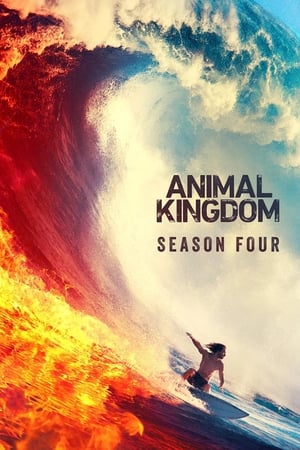 Animal Kingdom - temporada 4 poster
