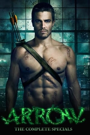 Arrow Temporada 0 poster