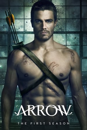 Arrow - temporada 1 poster