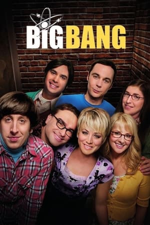 Big Bang Temporada 8 poster
