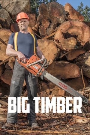 Big Timber Temporada 1 poster
