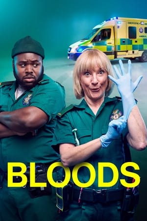 Bloods Temporada 1 poster