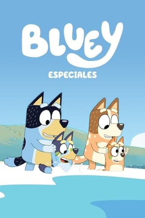 Bluey Temporada 0 poster