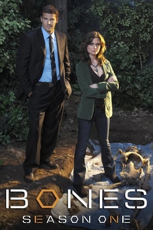 Bones Temporada 1 poster
