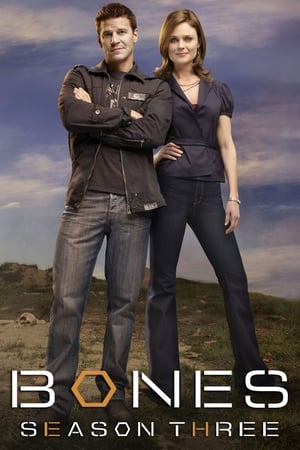 Bones Temporada 3 poster
