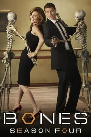 Bones Temporada 4 poster