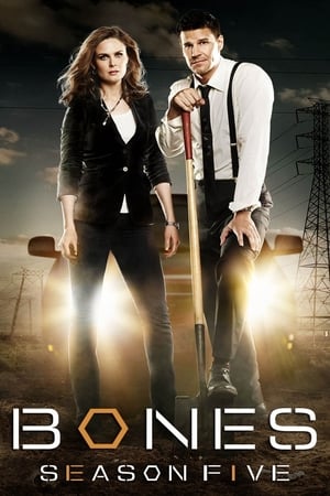 Bones Temporada 5 poster
