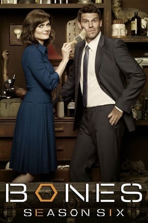 Bones Temporada 6 poster
