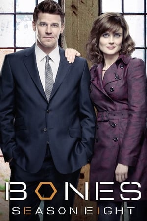 Bones Temporada 8 poster