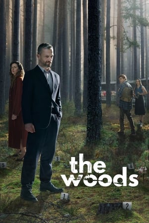 Bosque adentro Temporada 1 poster