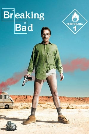 Breaking Bad Temporada 1 poster