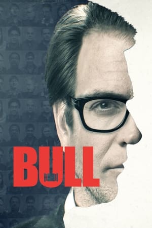 Bull - temporada 1 poster
