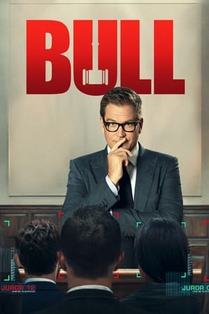 Bull - temporada 5 poster