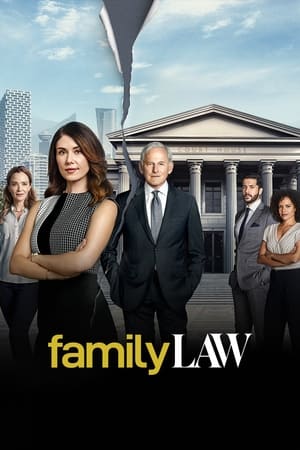 Casos de familia - temporada 1 poster