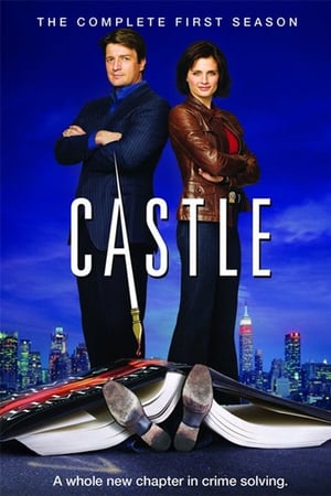 Castle - temporada 1 poster