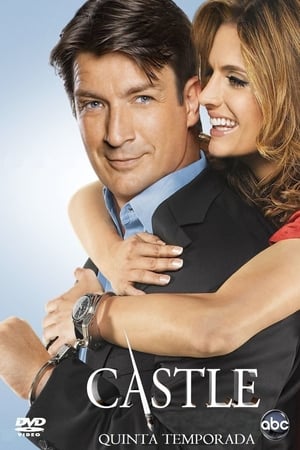 Castle Temporada 5 poster