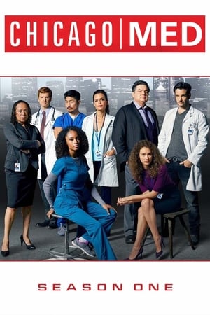 Chicago Med Temporada 1 poster