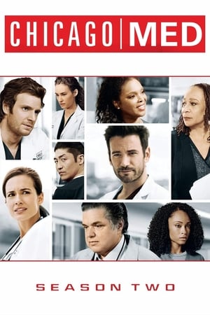 Chicago Med Temporada 2 poster