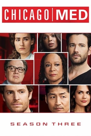 Chicago Med Temporada 3 poster