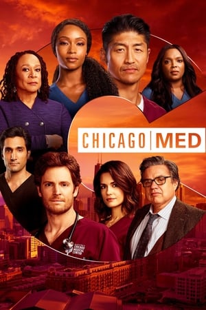 Chicago Med Temporada 6 poster