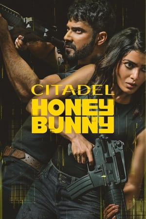 Citadel Honey Bunny Temporada 1 poster