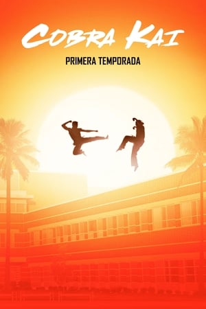 Cobra Kai - temporada 1 poster