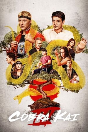 Cobra Kai Temporada 3 poster