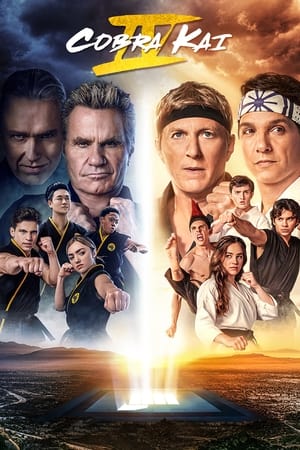 Cobra Kai Temporada 4 poster