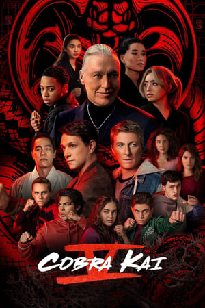 Cobra Kai - temporada 5 poster