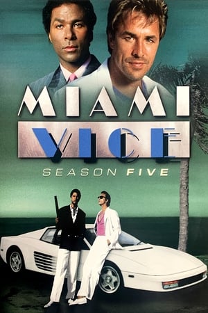 Corrupción en Miami
