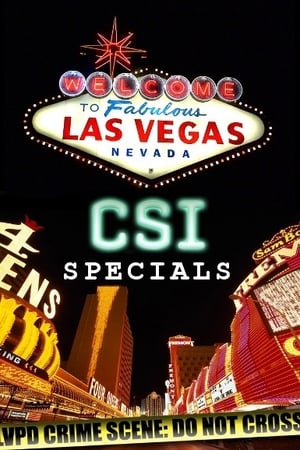 CSI: Las Vegas temporada 0