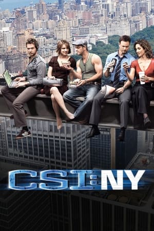 CSI: Nueva York Temporada 1 poster