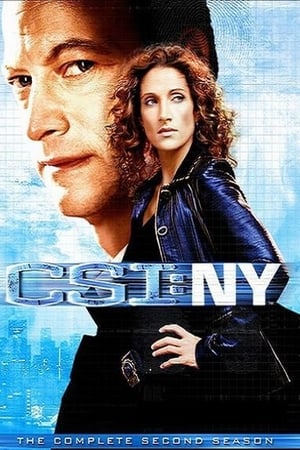 CSI: Nueva York Temporada 2 poster