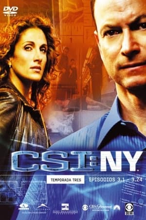 CSI: Nueva York Temporada 3 poster