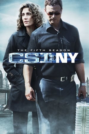 CSI: Nueva York Temporada 5 poster