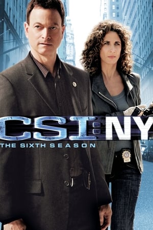 CSI: Nueva York Temporada 6 poster