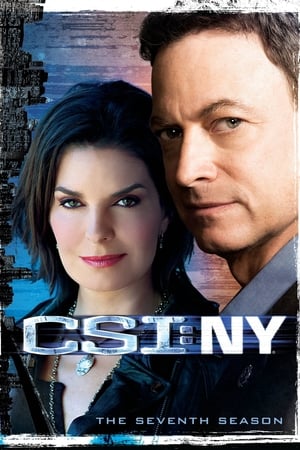 CSI: Nueva York Temporada 7 poster