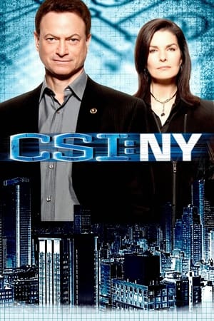 CSI: Nueva York Temporada 8 poster