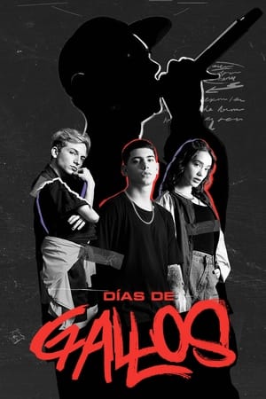Días de gallos Temporada 1 poster