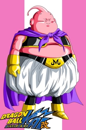Dragon Ball Kai Temporada 5 poster