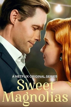 Dulces magnolias Temporada 1 poster
