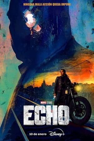 Echo Temporada 1 poster