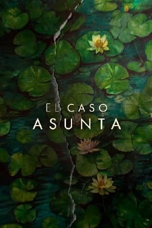 El caso Asunta - temporada 1 poster