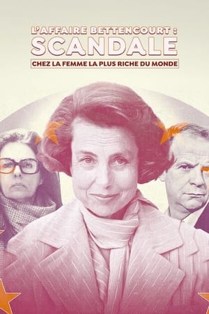 El caso Bettencourt: El escándalo de la mujer más rica del mundo Temporada 1 poster