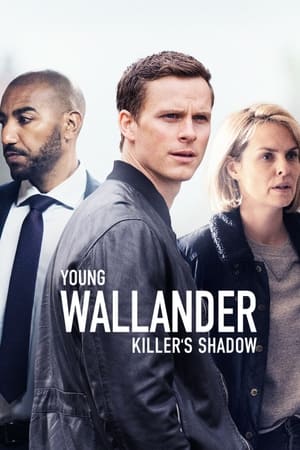 El joven Wallander - temporada 2 poster
