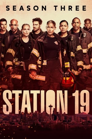 Estación 19 - temporada 3 poster